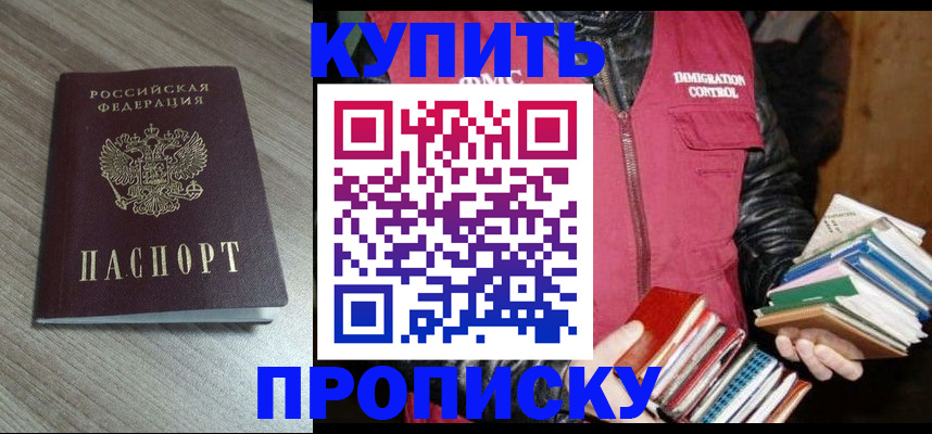 прописка 2025 в Тынде